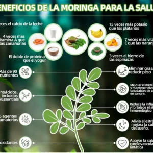Piguiay® GLP-1 Gotas saludables adelgazantes de Moringa (Quemador de grasa de grado alimenticio - Desarrollado por expertos en secretología y metabolismo) 🎁