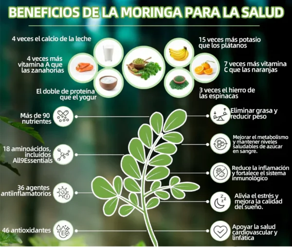 Piguiay® GLP-1 Gotas saludables adelgazantes de Moringa (Quemador de grasa de grado alimenticio - Desarrollado por expertos en secretología y metabolismo) 🎁