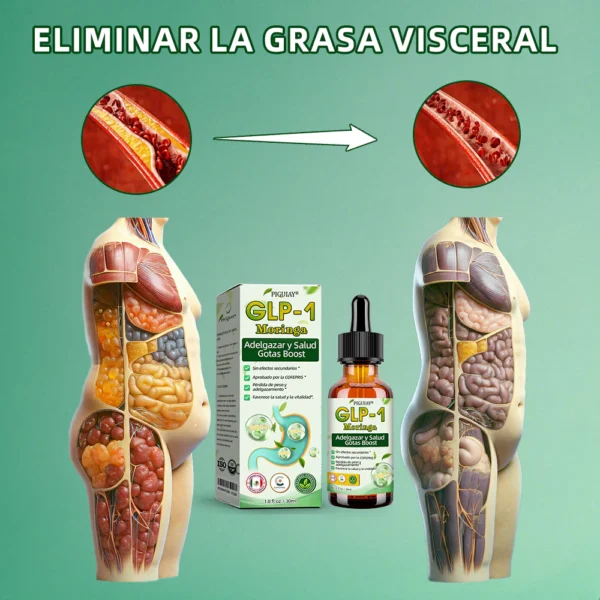 Piguiay® GLP-1 Gotas saludables adelgazantes de Moringa (Quemador de grasa de grado alimenticio - Desarrollado por expertos en secretología y metabolismo) 🎁
