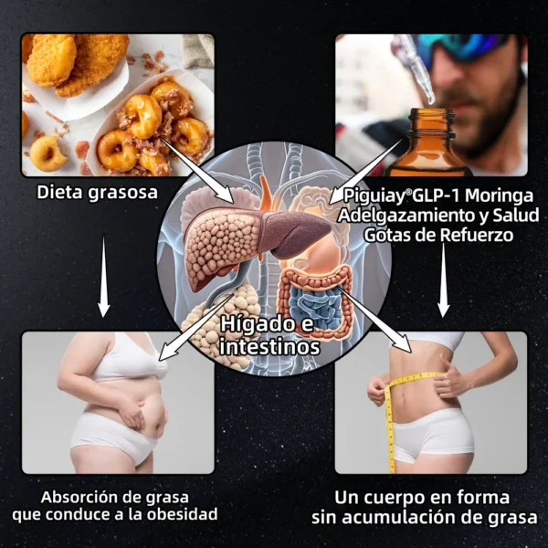 Piguiay® GLP-1 Gotas saludables adelgazantes de Moringa (Quemador de grasa de grado alimenticio - Desarrollado por expertos en secretología y metabolismo) 🎁