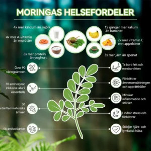 Piguiay® GLP-1 Moringa Viktminskning Hälsoboost Droppar(Livsmedelsgodkänd fettförbrännare - Utvecklad av experter inom sekretologi och metabolism)🇸🇪