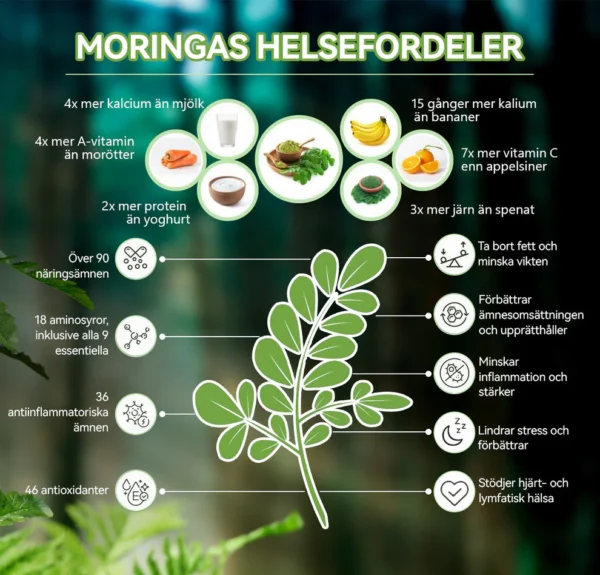Piguiay® GLP-1 Moringa Viktminskning Hälsoboost Droppar(Livsmedelsgodkänd fettförbrännare - Utvecklad av experter inom sekretologi och metabolism)🇸🇪