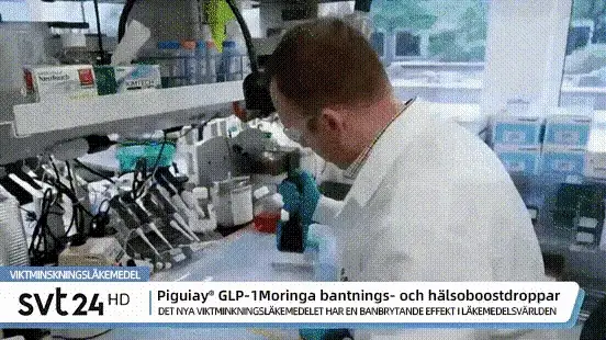 Piguiay® GLP-1 Moringa Viktminskning Hälsoboost Droppar(Livsmedelsgodkänd fettförbrännare - Utvecklad av experter inom sekretologi och metabolism)🇸🇪